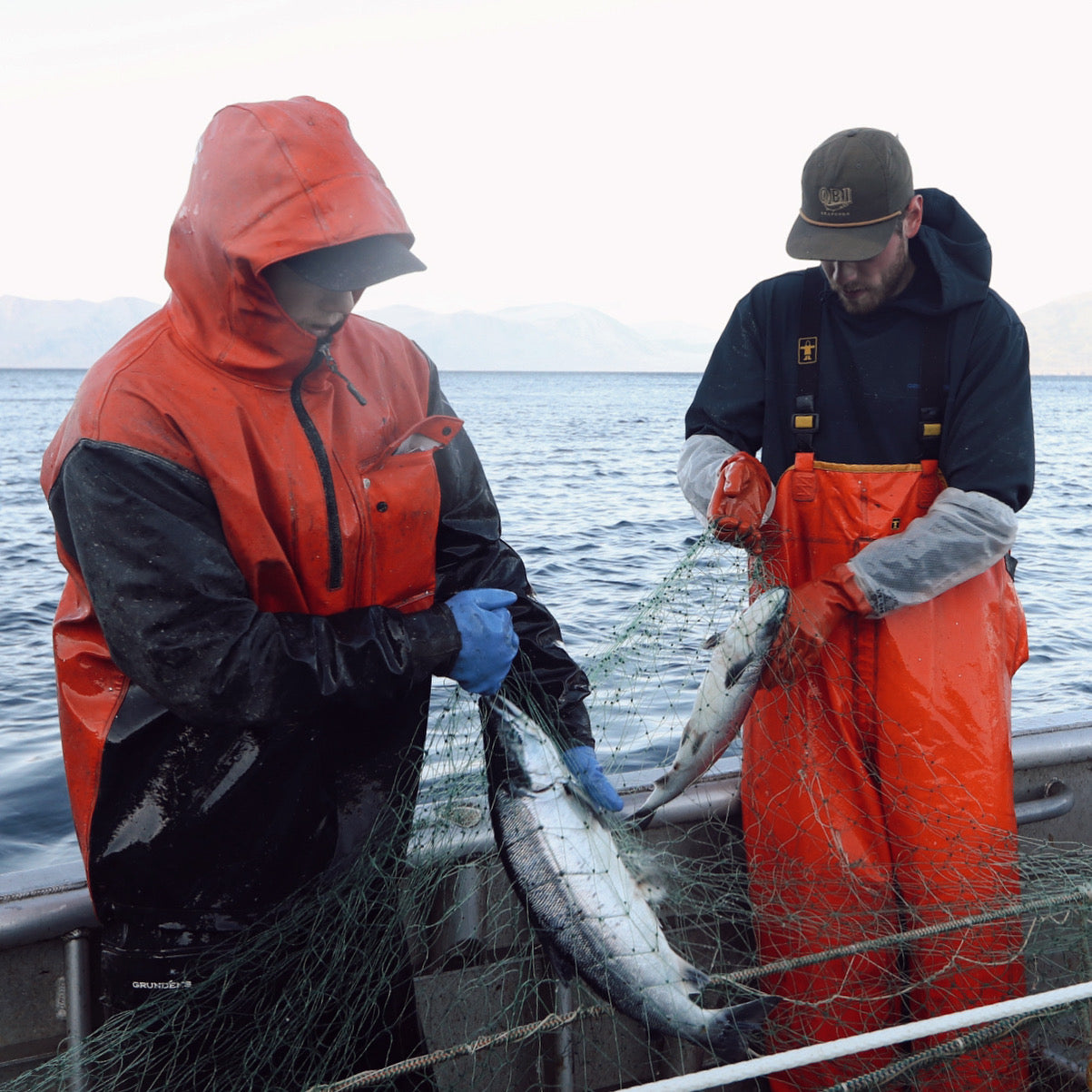 Frozen Seafood