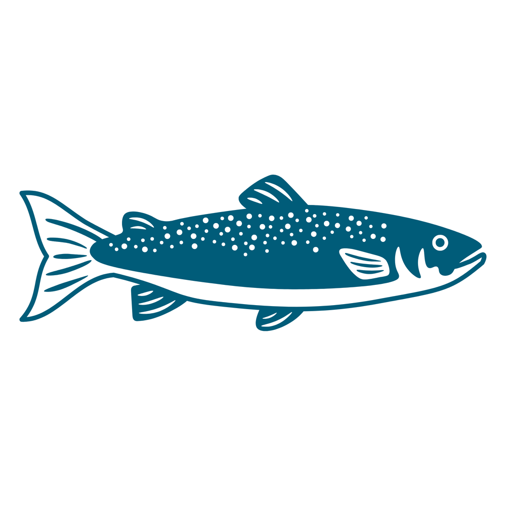 Wild Alaskan Sockeye Salmon