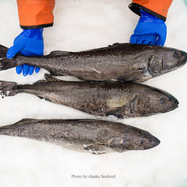 Wild Alaskan Black Cod (Sablefish)