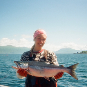 Wild alaskan salmon harvested in Kodiak Alaska.