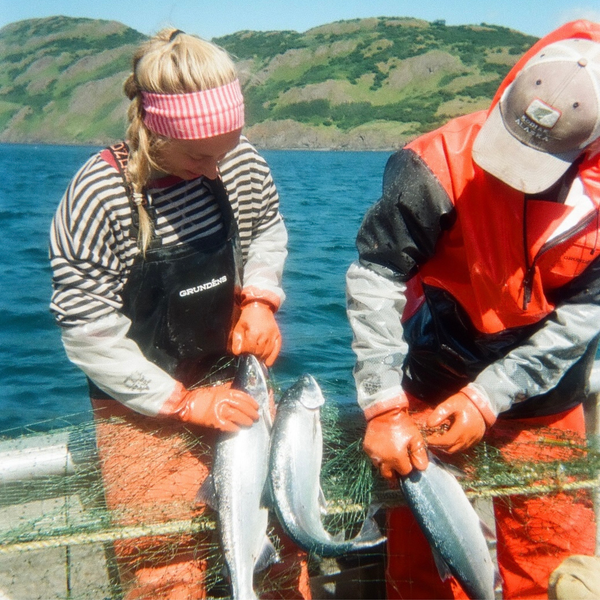 Wild Alaskan Sockeye Salmon