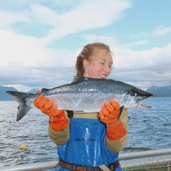 Fishing for wild salmon in Alaska.